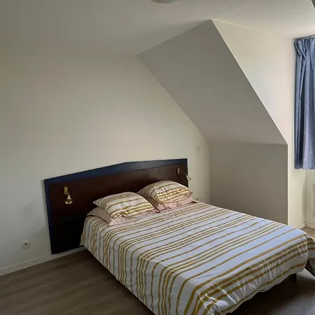 Appartamento T2 Rénové Avec Wifi, Piscine Et Parking à 200m Des Thermes - Fr-1-541-179 La Roche-Posay